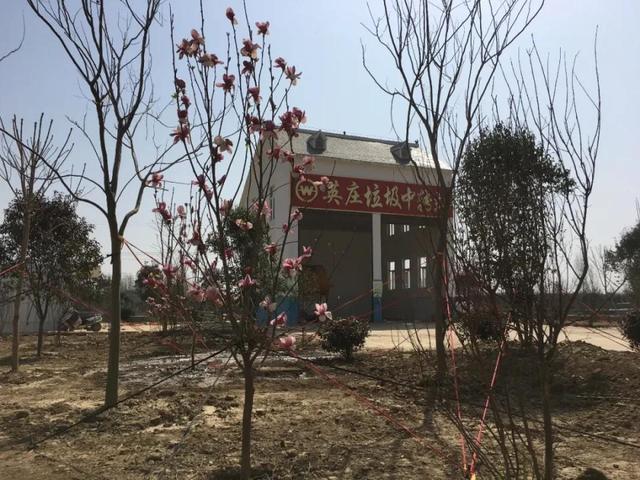 南阳卧龙区:农村垃圾中转站“一站一景”助力城乡环卫一体化